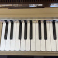 Magnus Portable Electric Chord Organ Vintage 1960s