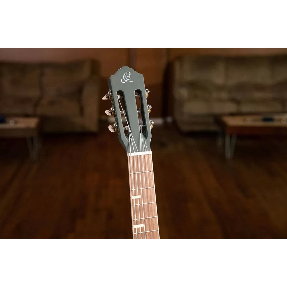 Ortega Nylon String Guitar Gaucho Parlor Platinum Grey w/Bag
