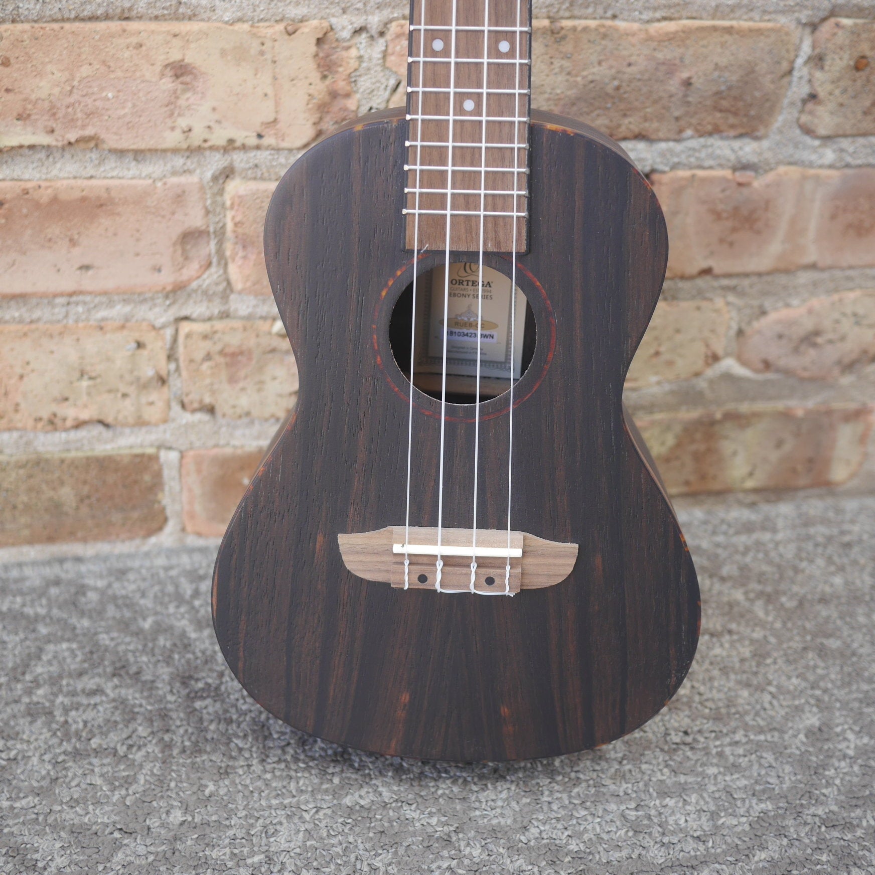 Ortega Timber Series Concert Ukulele Ebony