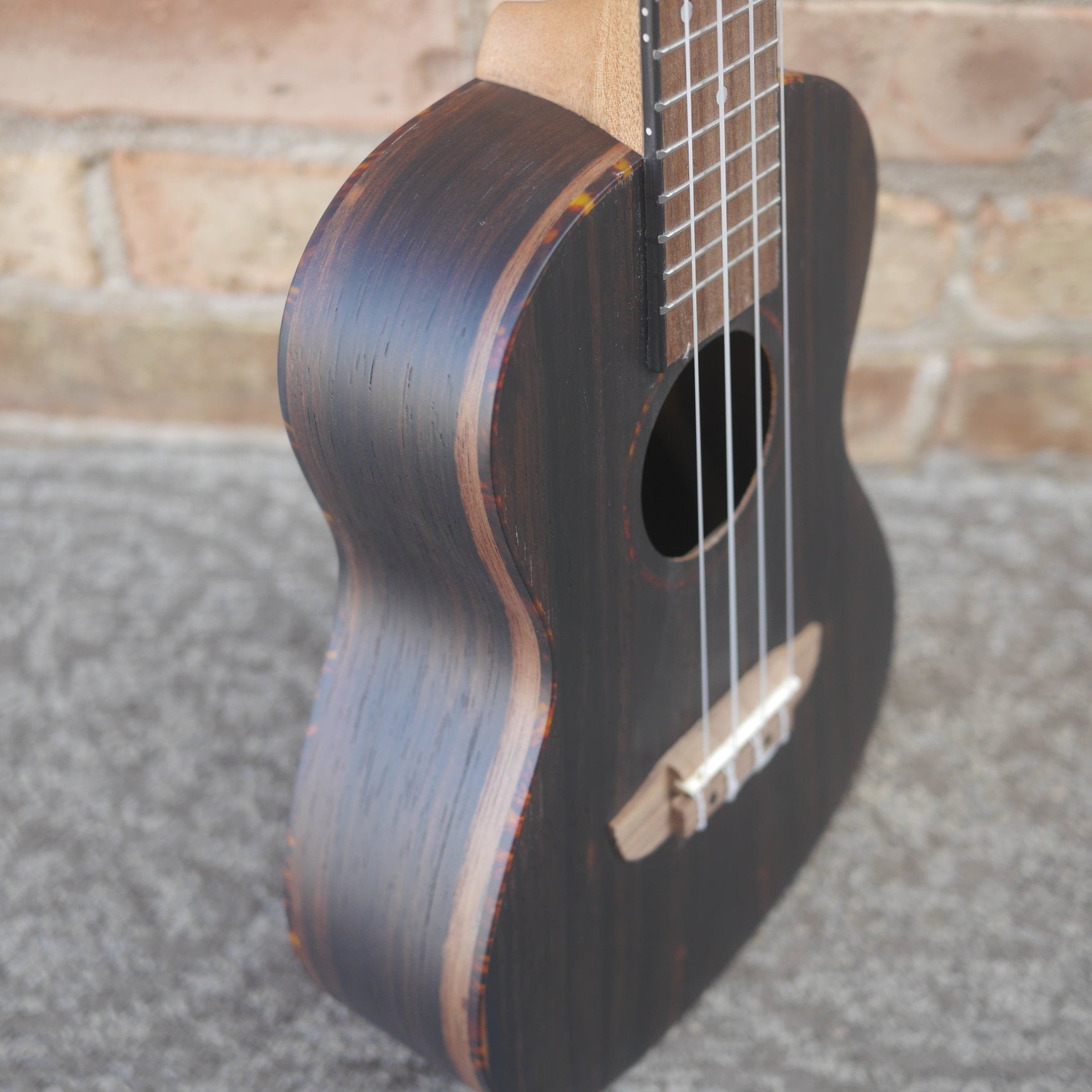 Ortega Timber Series Concert Ukulele Ebony