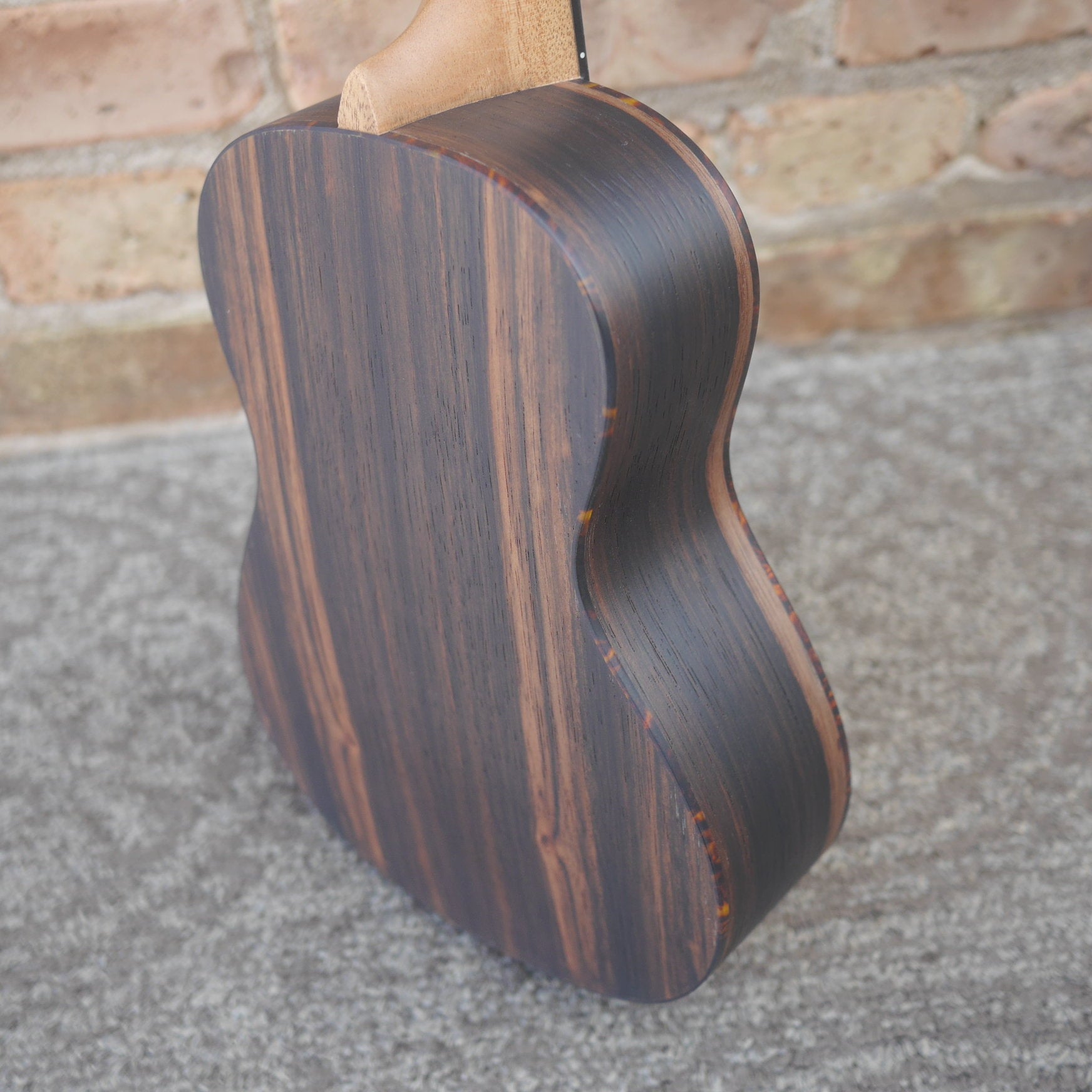 Ortega Timber Series Concert Ukulele Ebony
