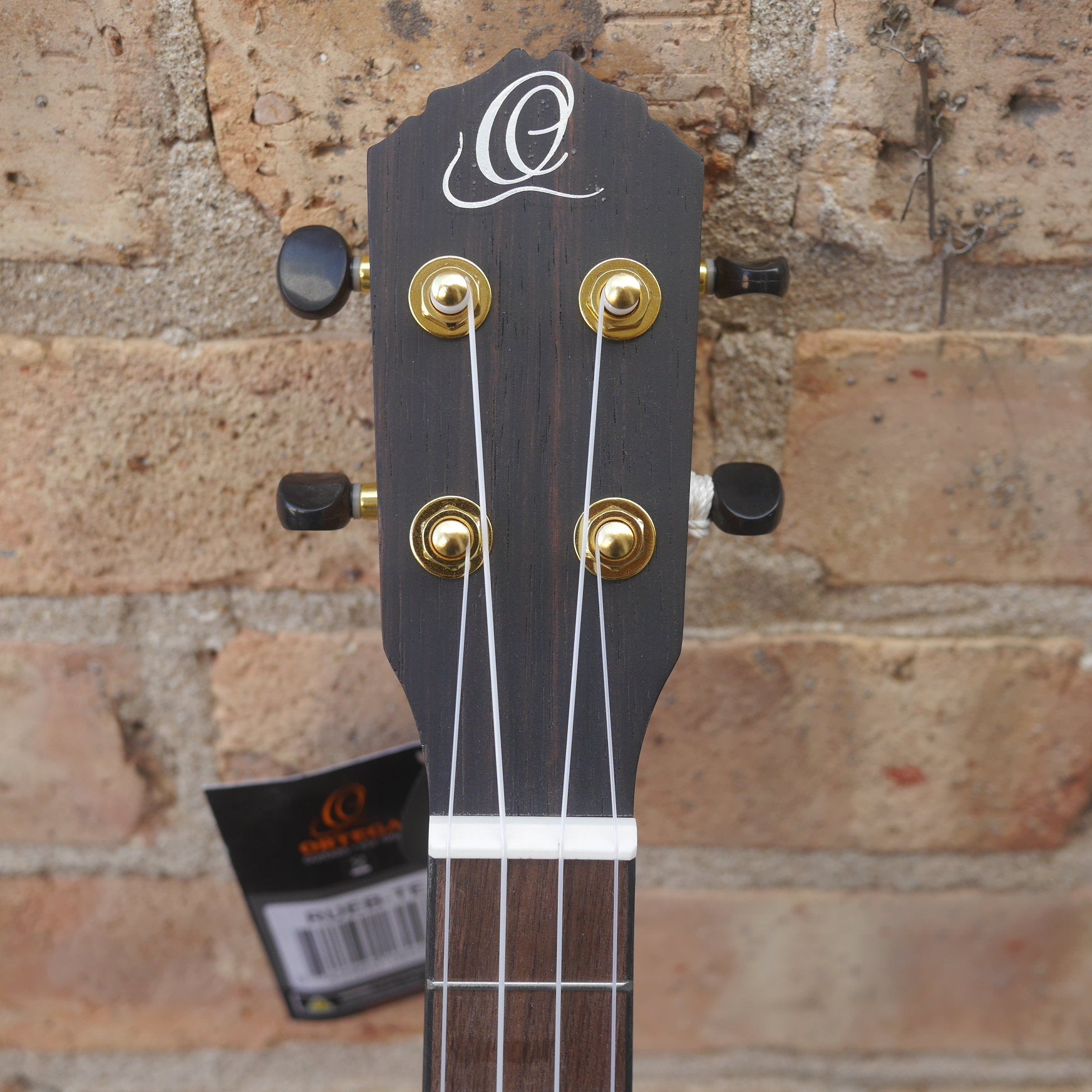 Ortega Timber Series Tenor Ukulele Ebony