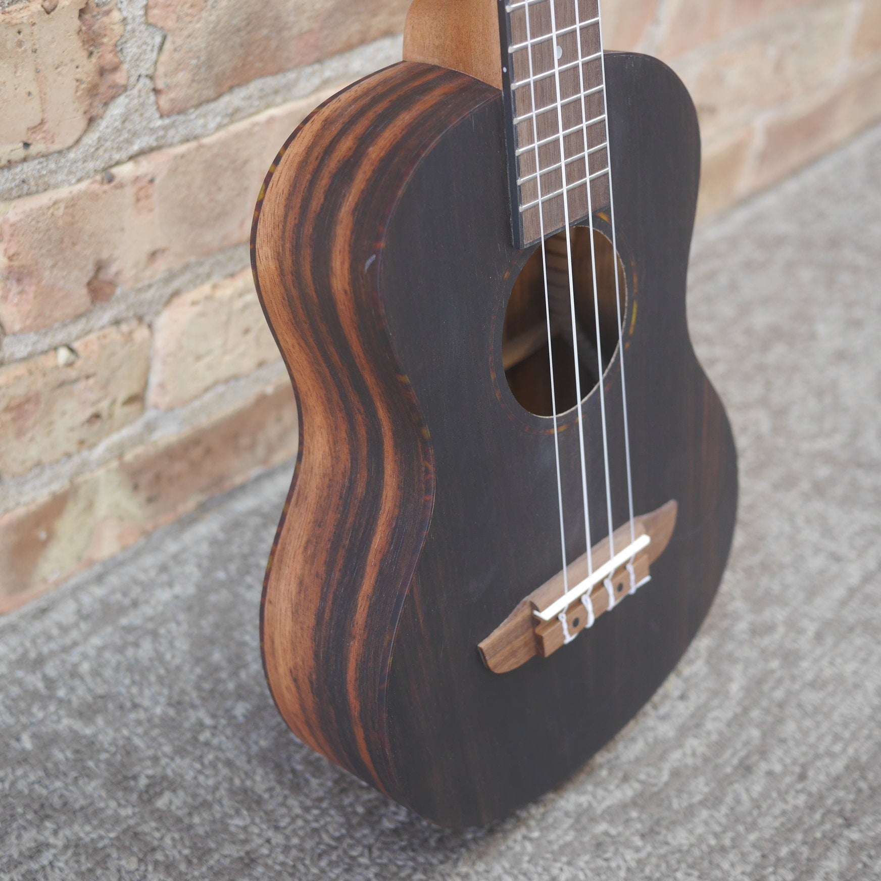 Ortega Timber Series Tenor Ukulele Ebony