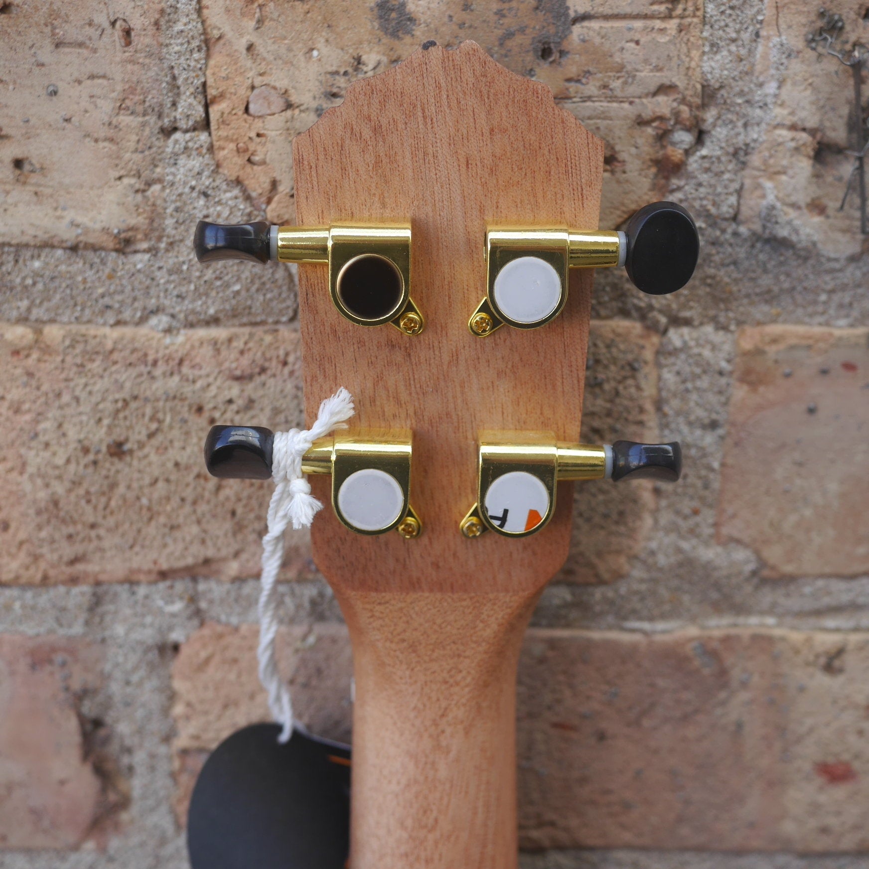 Ortega Timber Series Tenor Ukulele Ebony