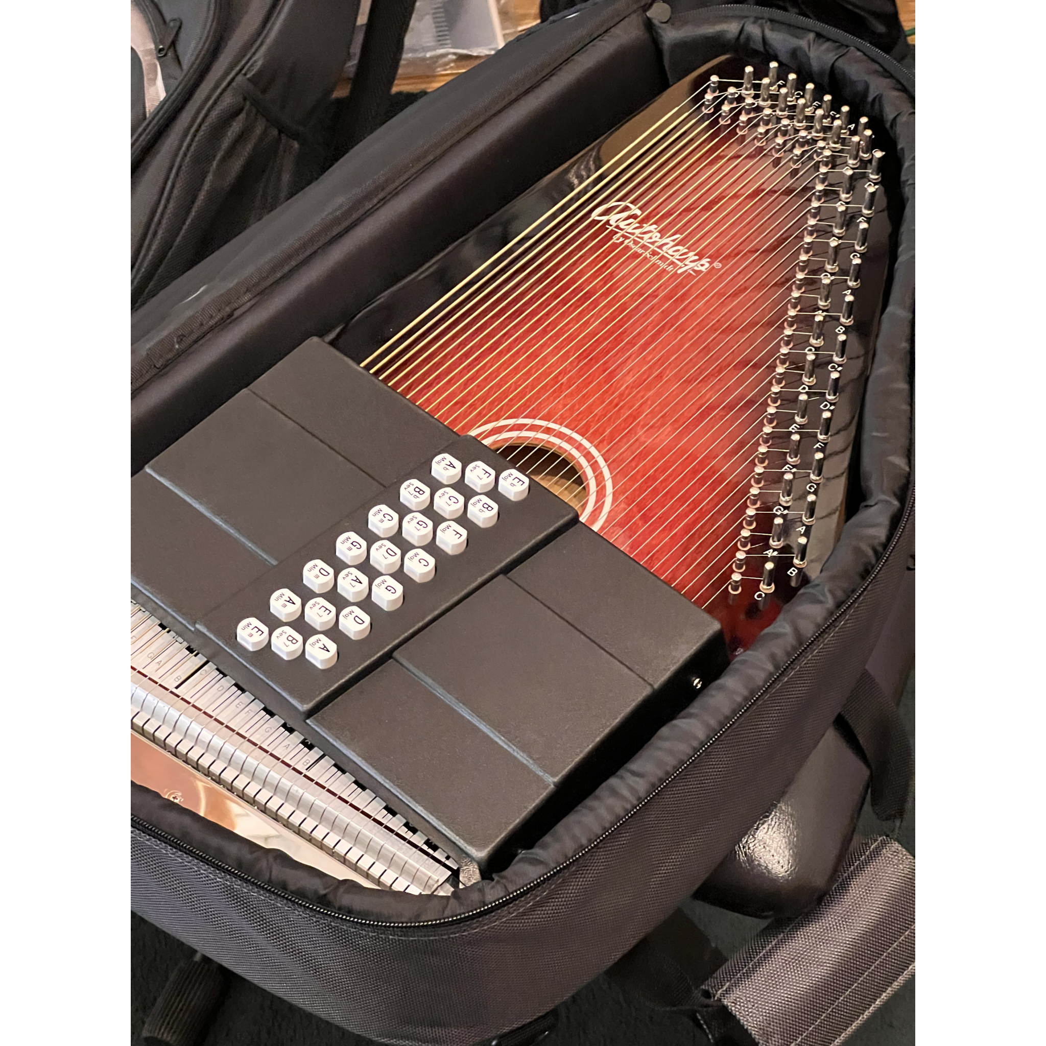Oscar Schmidt Autoharp OS21C 2021 Mint w/gig bag