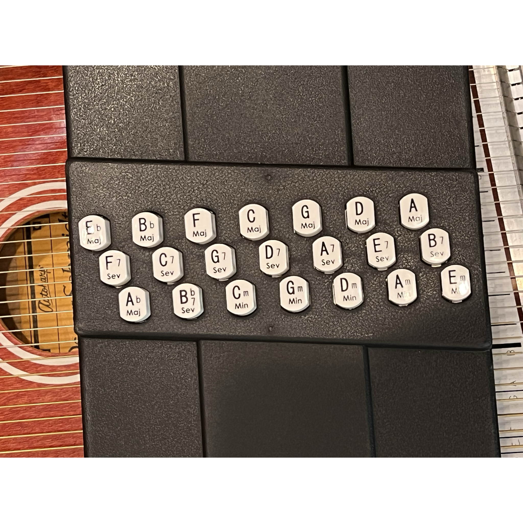 Oscar Schmidt Autoharp OS21C 2021 Mint w/gig bag