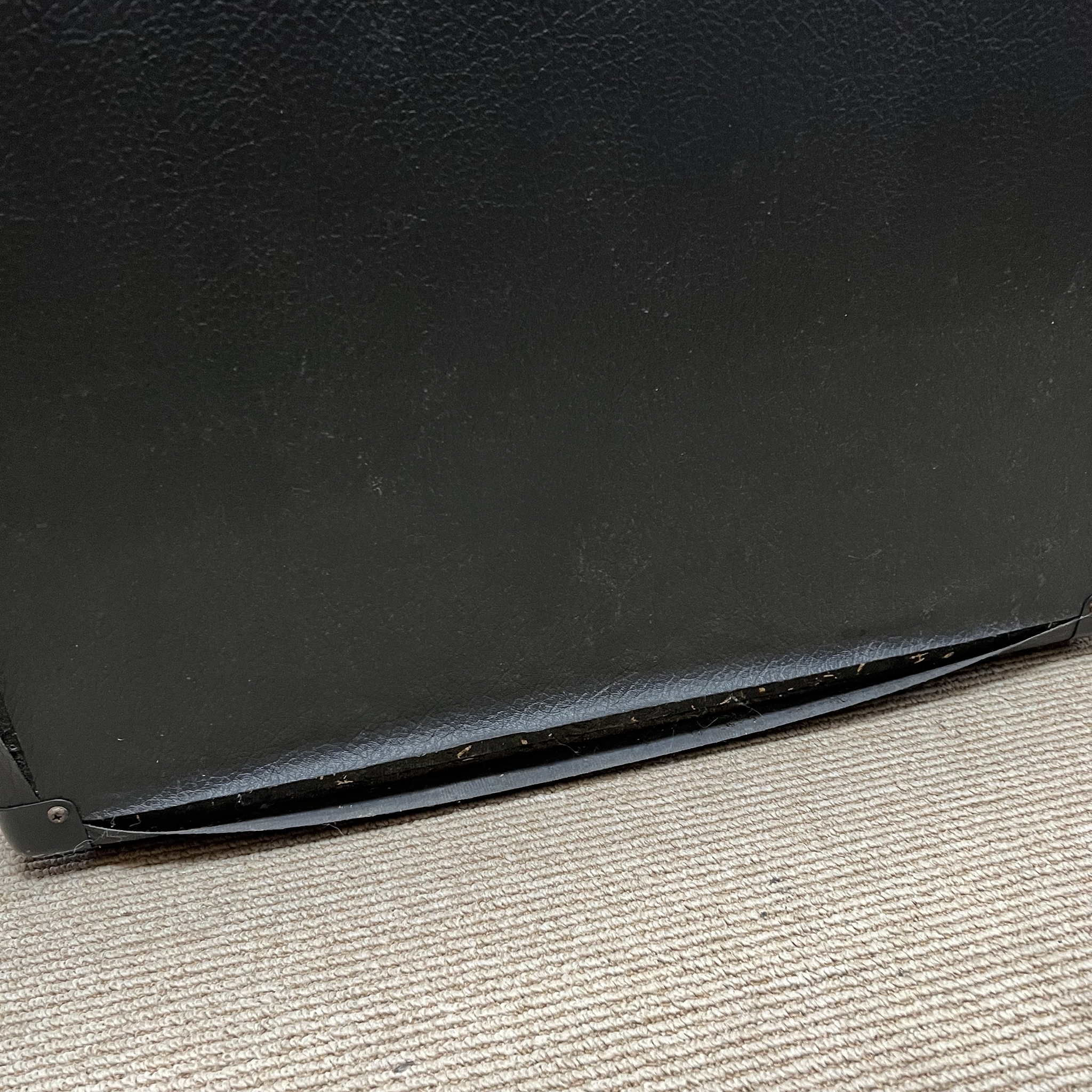 Peavey Deltabass Amp and 115BW-BW Cab. (used)