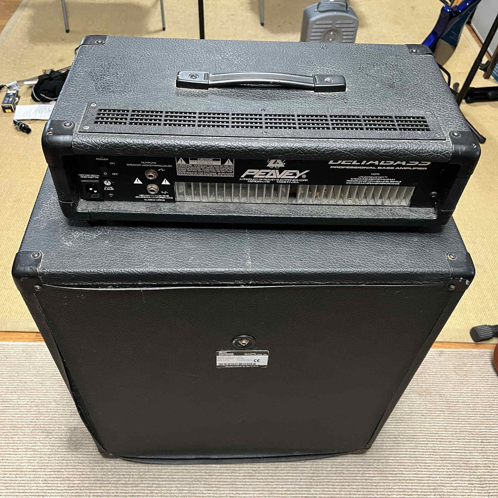 Peavey Deltabass Amp and 115BW-BW Cab. (used)