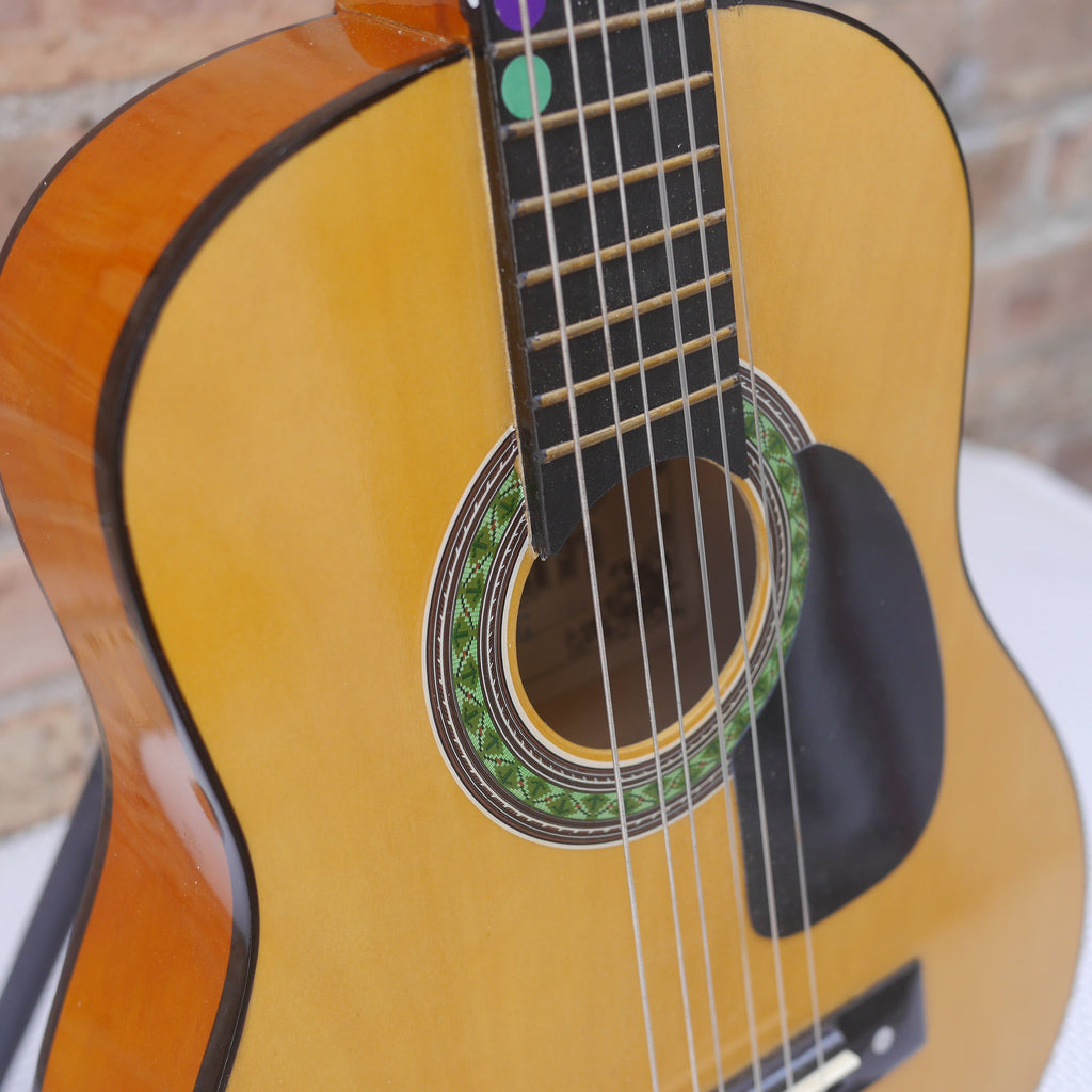 Play and Learn Student Guitar MG-102 used