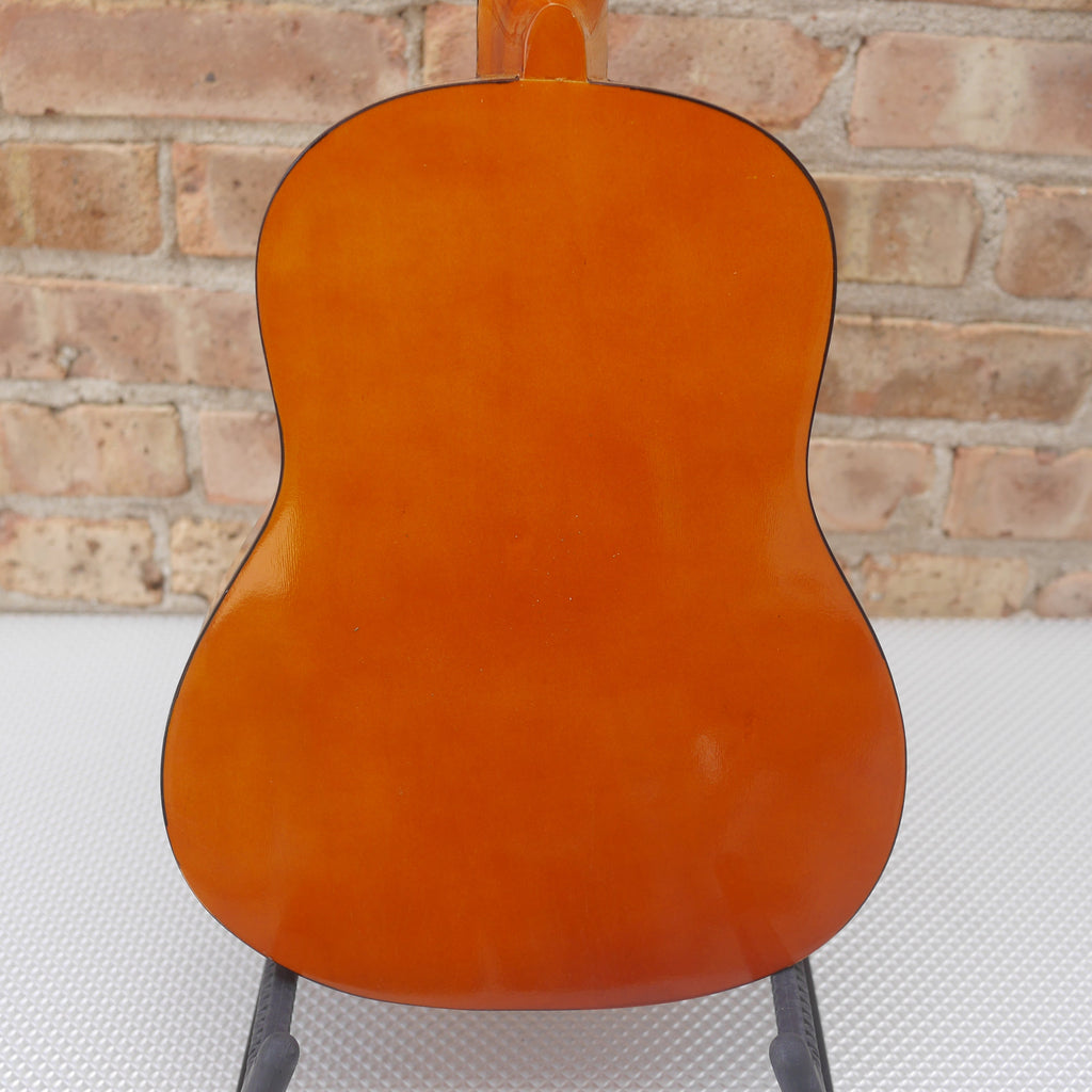 Play and Learn Student Guitar MG-102 used