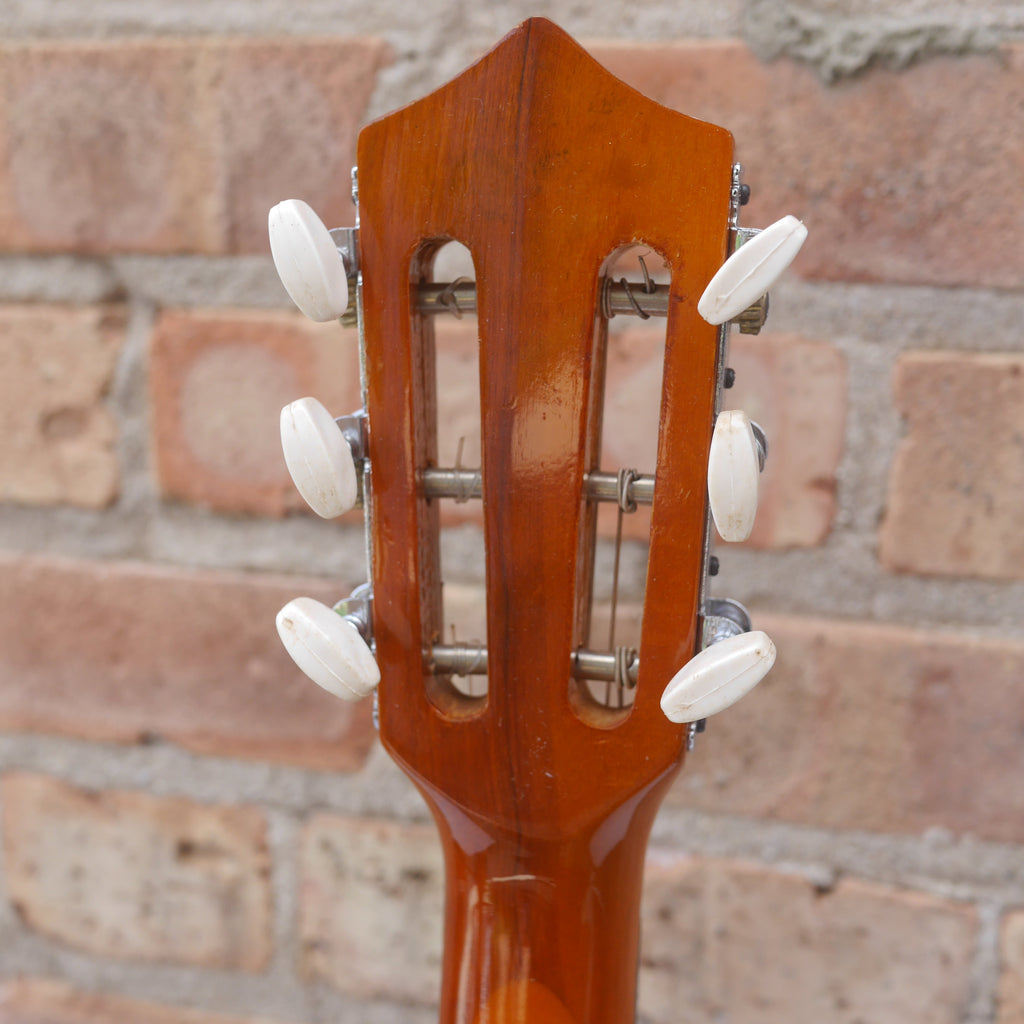 Play and Learn Student Guitar MG-102 used