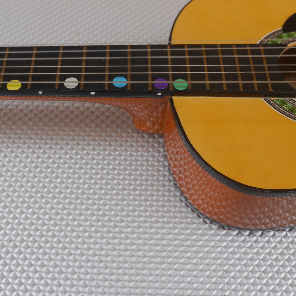 Play and Learn Student Guitar MG-102 used