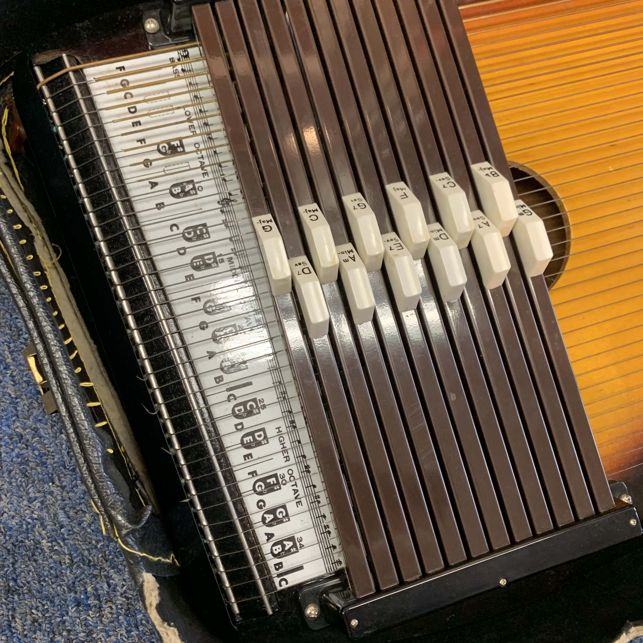 Rhythm Band Inc. Chromaharp Autoharp w/case