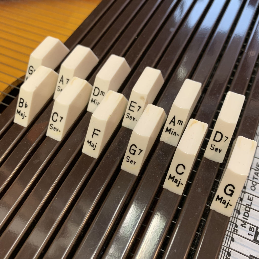 Rhythm Band Inc. Chromaharp Autoharp w/case
