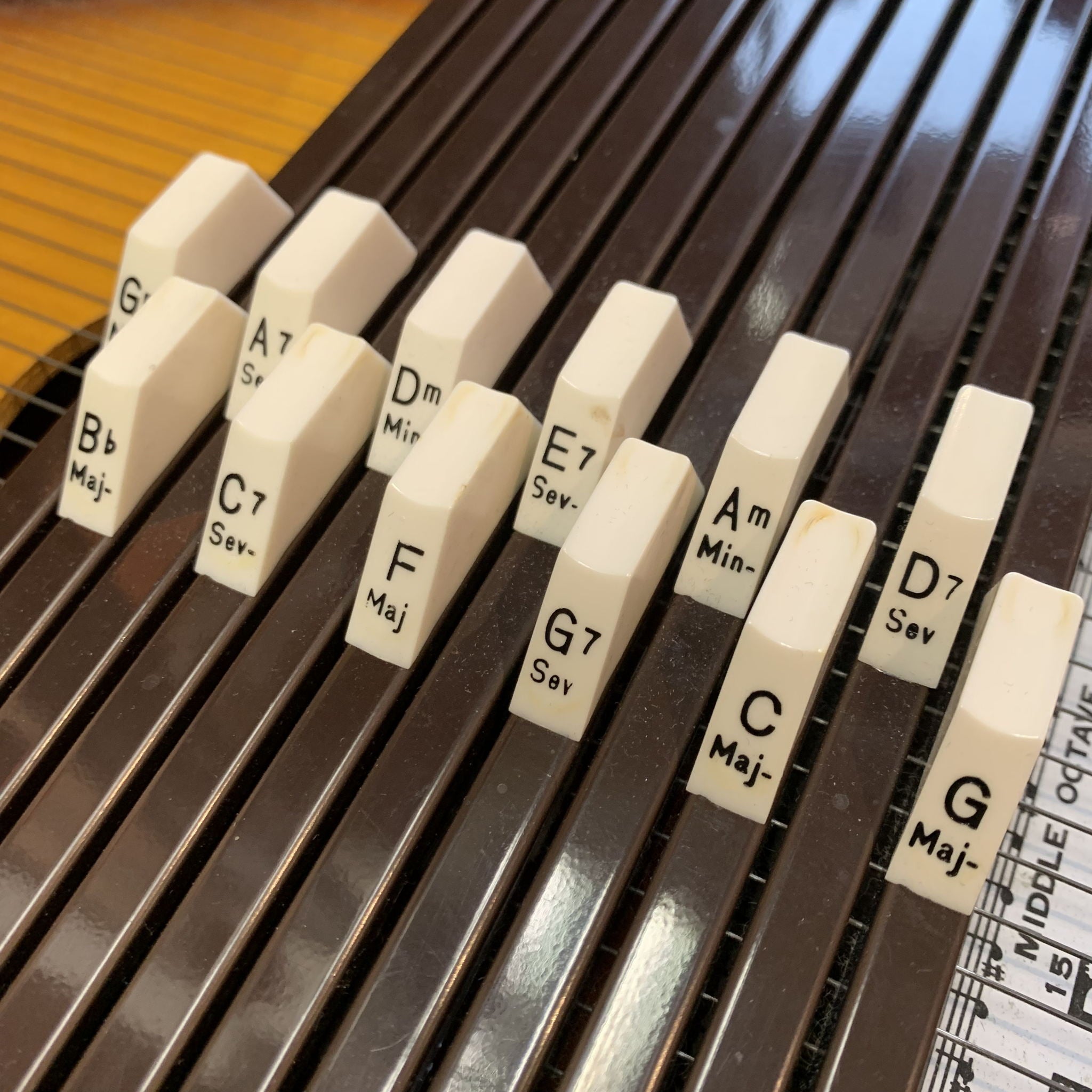 Rhythm Band Inc. Chromaharp Autoharp w/case