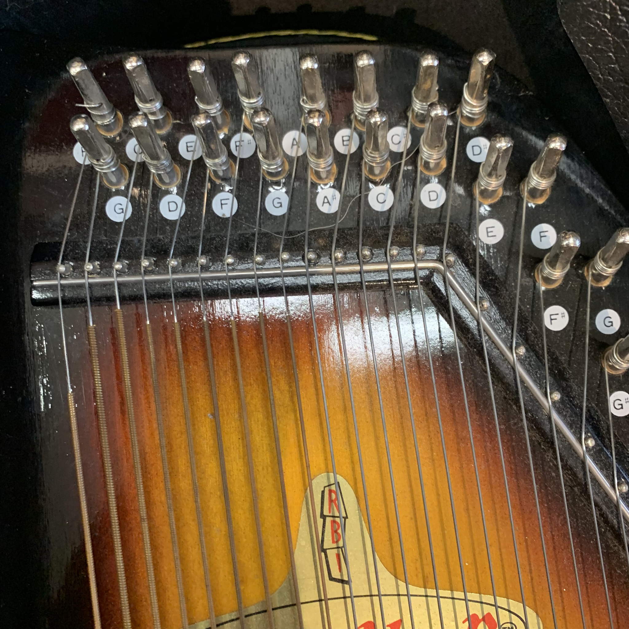 Rhythm Band Inc. Chromaharp Autoharp w/case