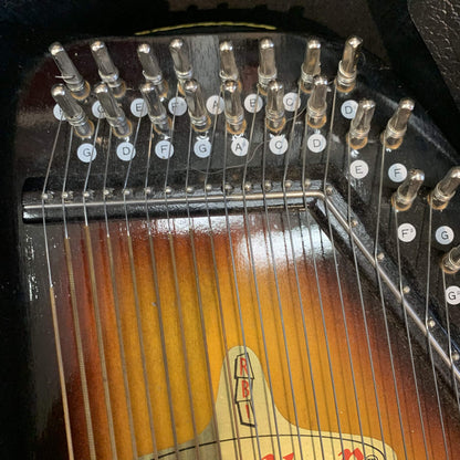 Rhythm Band Inc. Chromaharp Autoharp w/case