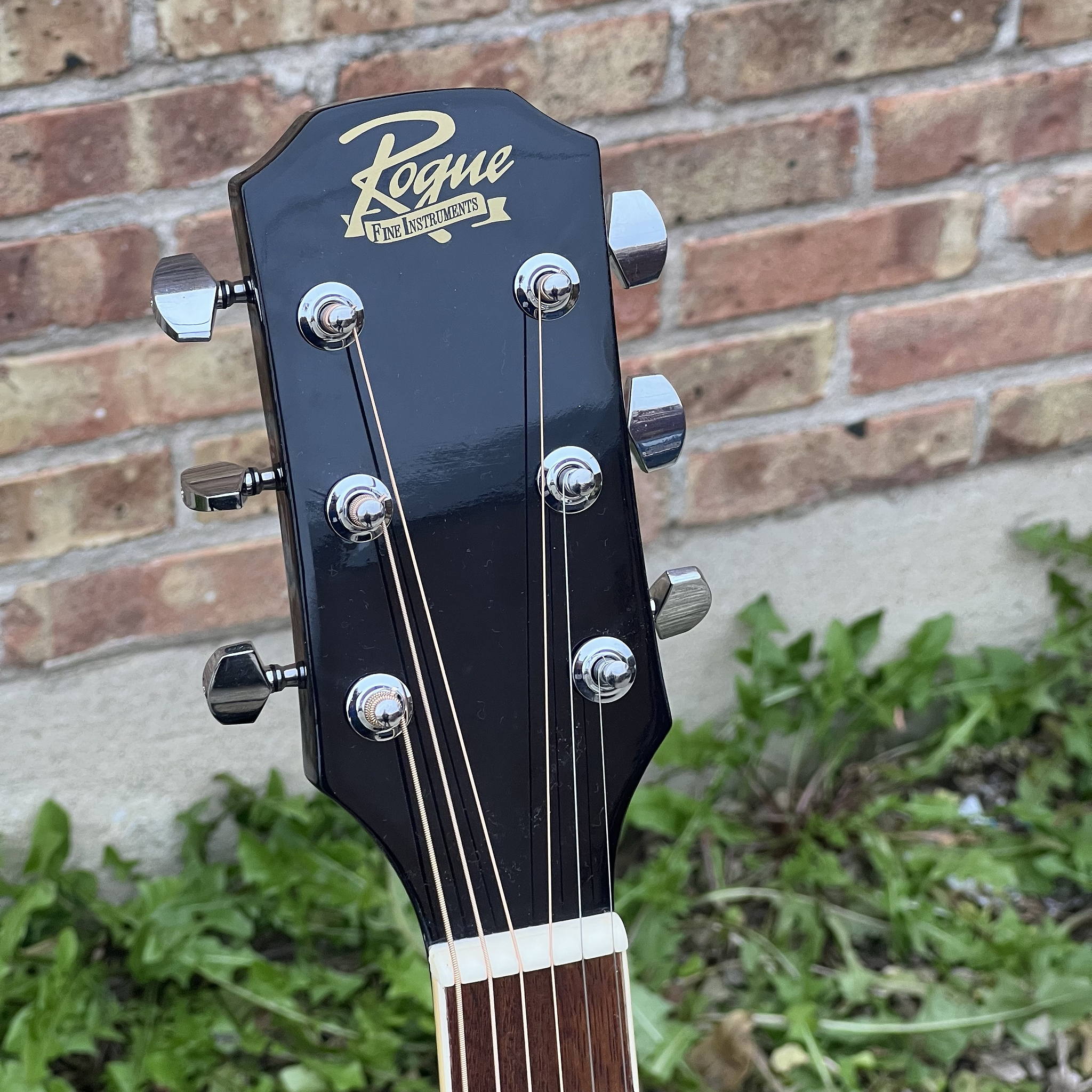 Rogue RD80 Acoustic Guitar Mint Natural