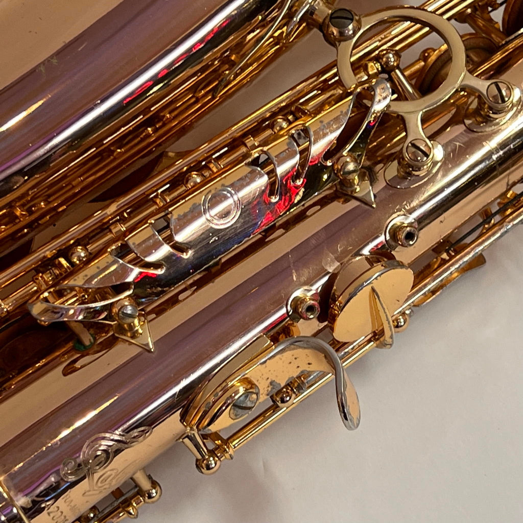 Rolla RA-MGS01 Alto Saxophone w/Selmer S80 C* mouthpiece contoured case