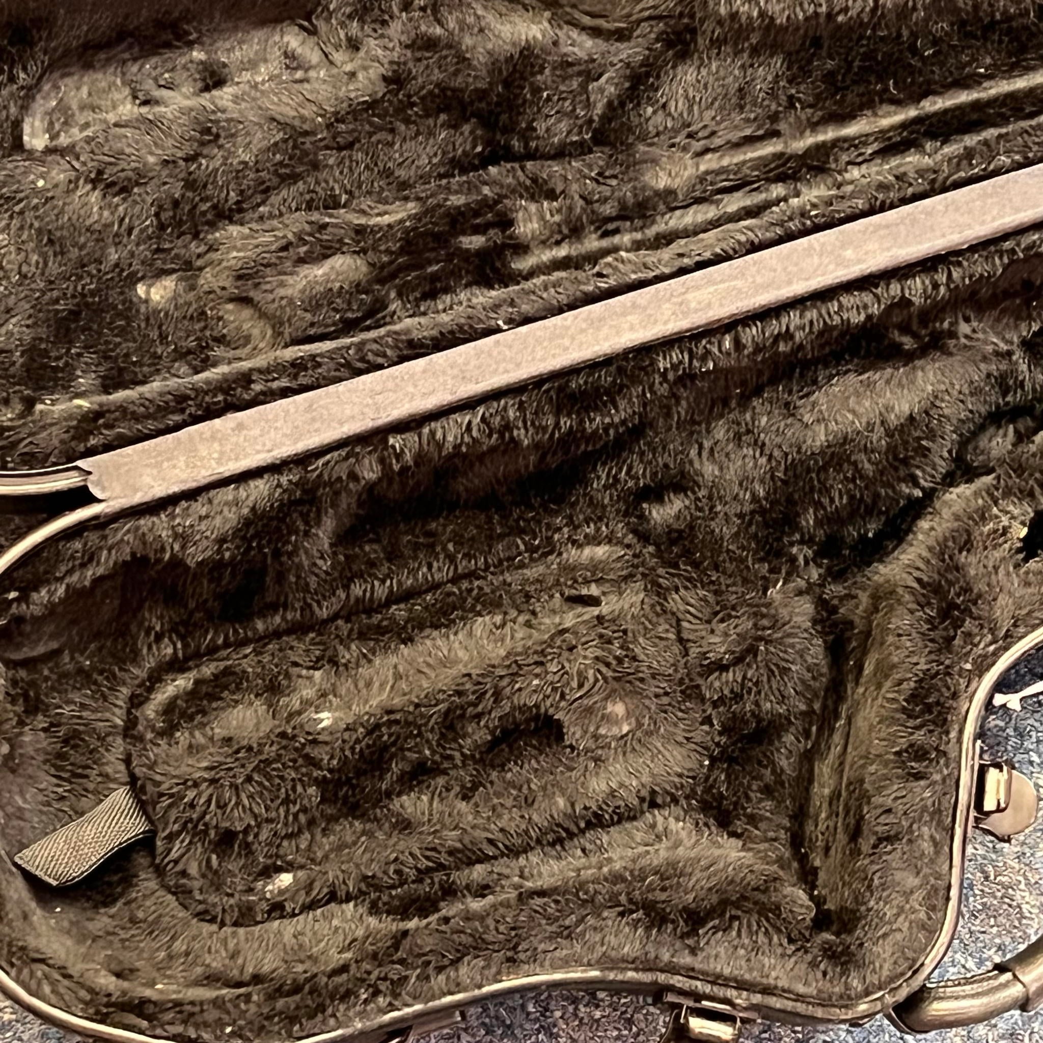 Rolla RA-MGS01 Alto Saxophone w/Selmer S80 C* mouthpiece contoured case