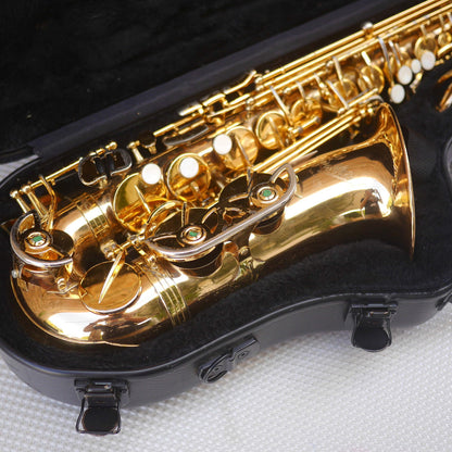 Rolla RA-MGS01 Alto Saxophone w/Selmer S80 C* mouthpiece contoured case