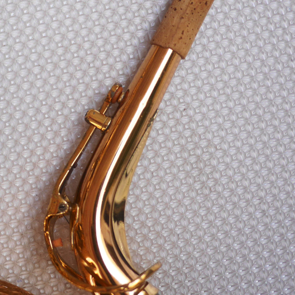 Rolla RA-MGS01 Alto Saxophone w/Selmer S80 C* mouthpiece contoured case