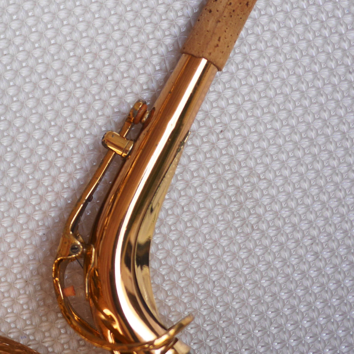 Rolla RA-MGS01 Alto Saxophone w/Selmer S80 C* mouthpiece contoured case