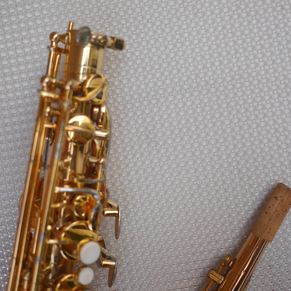 Rolla RA-MGS01 Alto Saxophone w/Selmer S80 C* mouthpiece contoured case