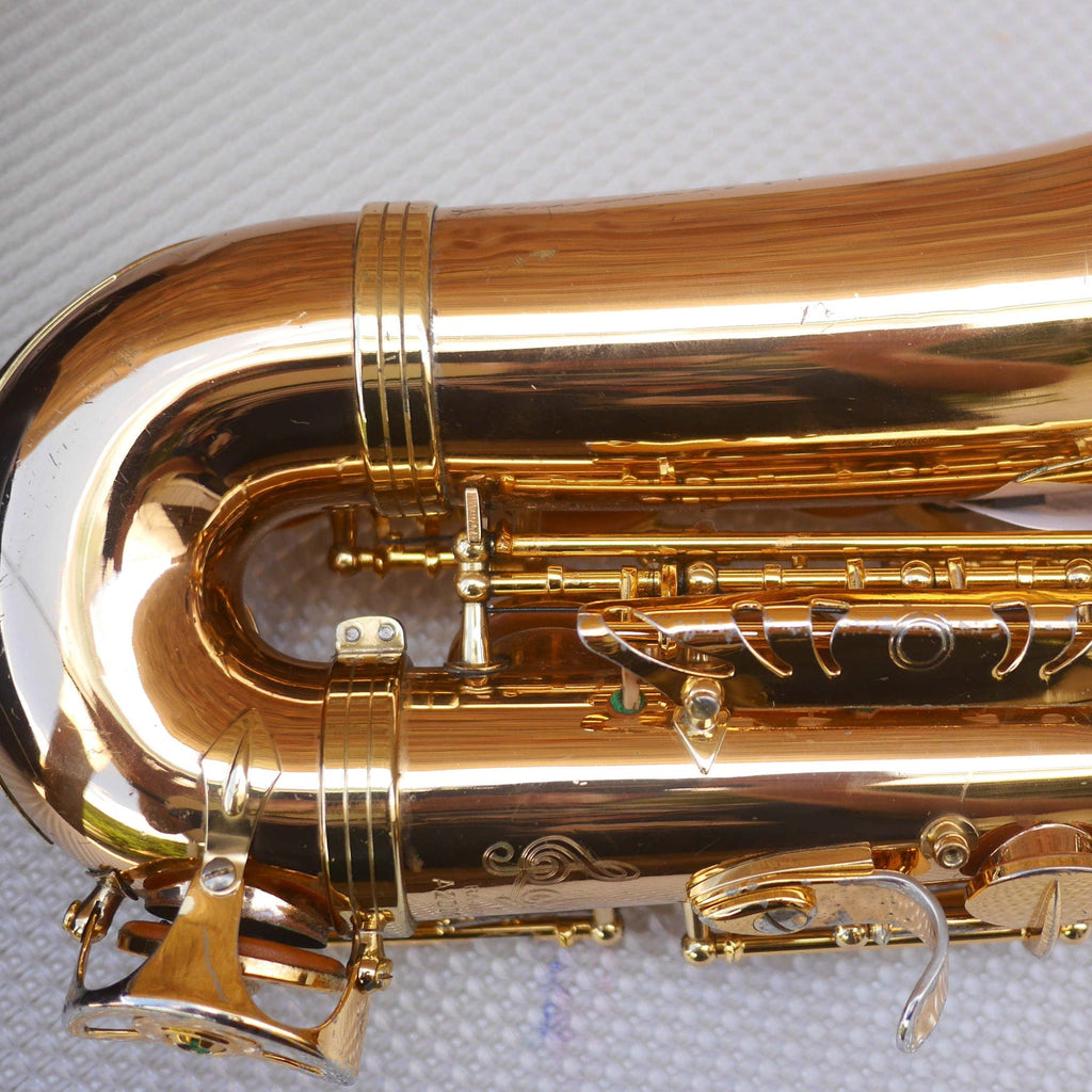 Rolla RA-MGS01 Alto Saxophone w/Selmer S80 C* mouthpiece contoured case