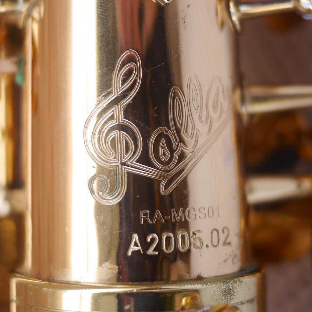 Rolla RA-MGS01 Alto Saxophone w/Selmer S80 C* mouthpiece contoured case