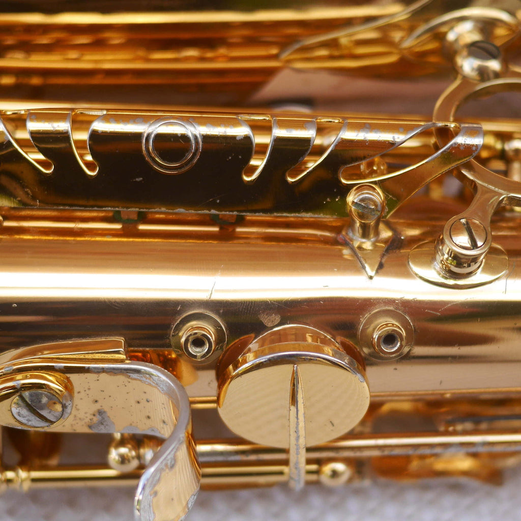 Rolla RA-MGS01 Alto Saxophone w/Selmer S80 C* mouthpiece contoured case