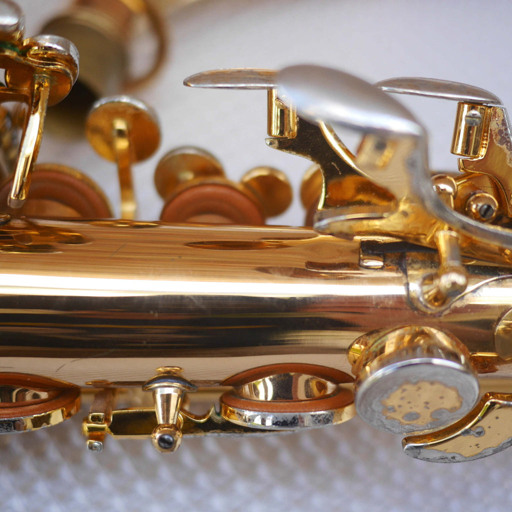 Rolla RA-MGS01 Alto Saxophone w/Selmer S80 C* mouthpiece contoured case