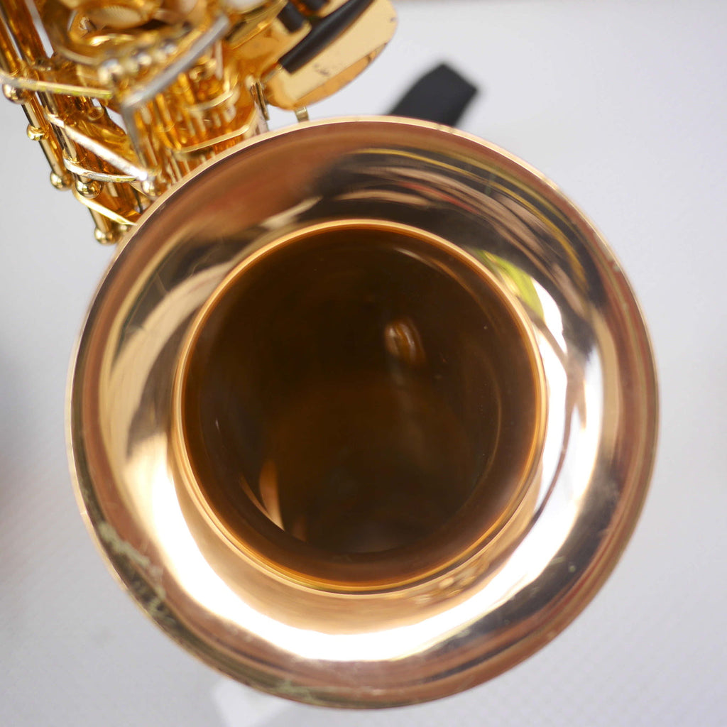 Rolla RA-MGS01 Alto Saxophone w/Selmer S80 C* mouthpiece contoured case