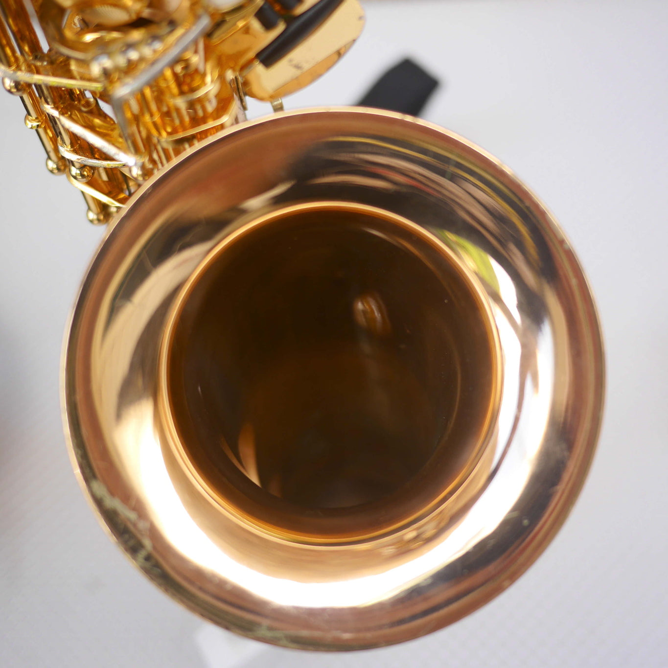Rolla RA-MGS01 Alto Saxophone w/Selmer S80 C* mouthpiece contoured case