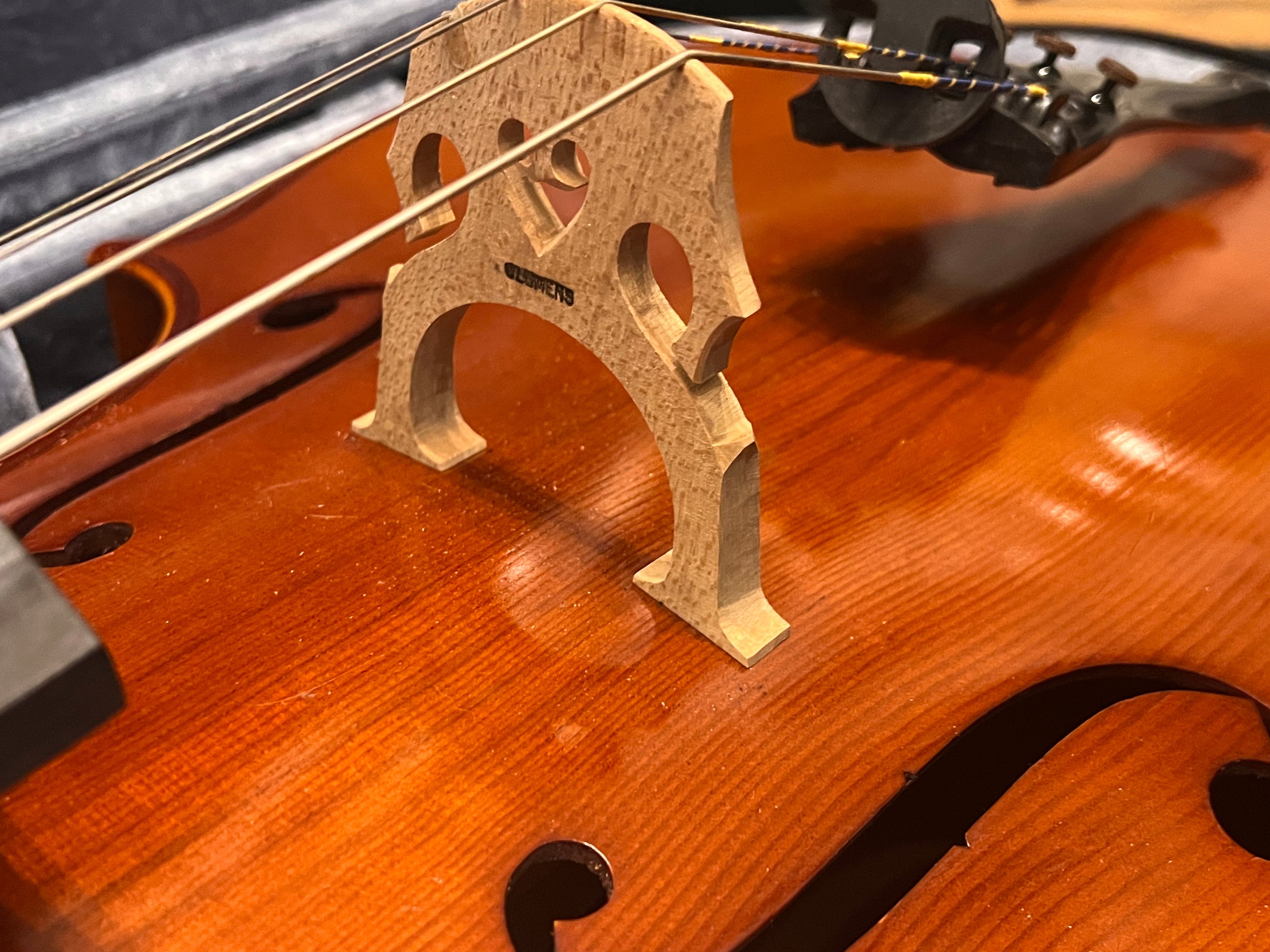 Samuel Eastman 4/4/ Cello Model 100 with case and bow 1999 (used)