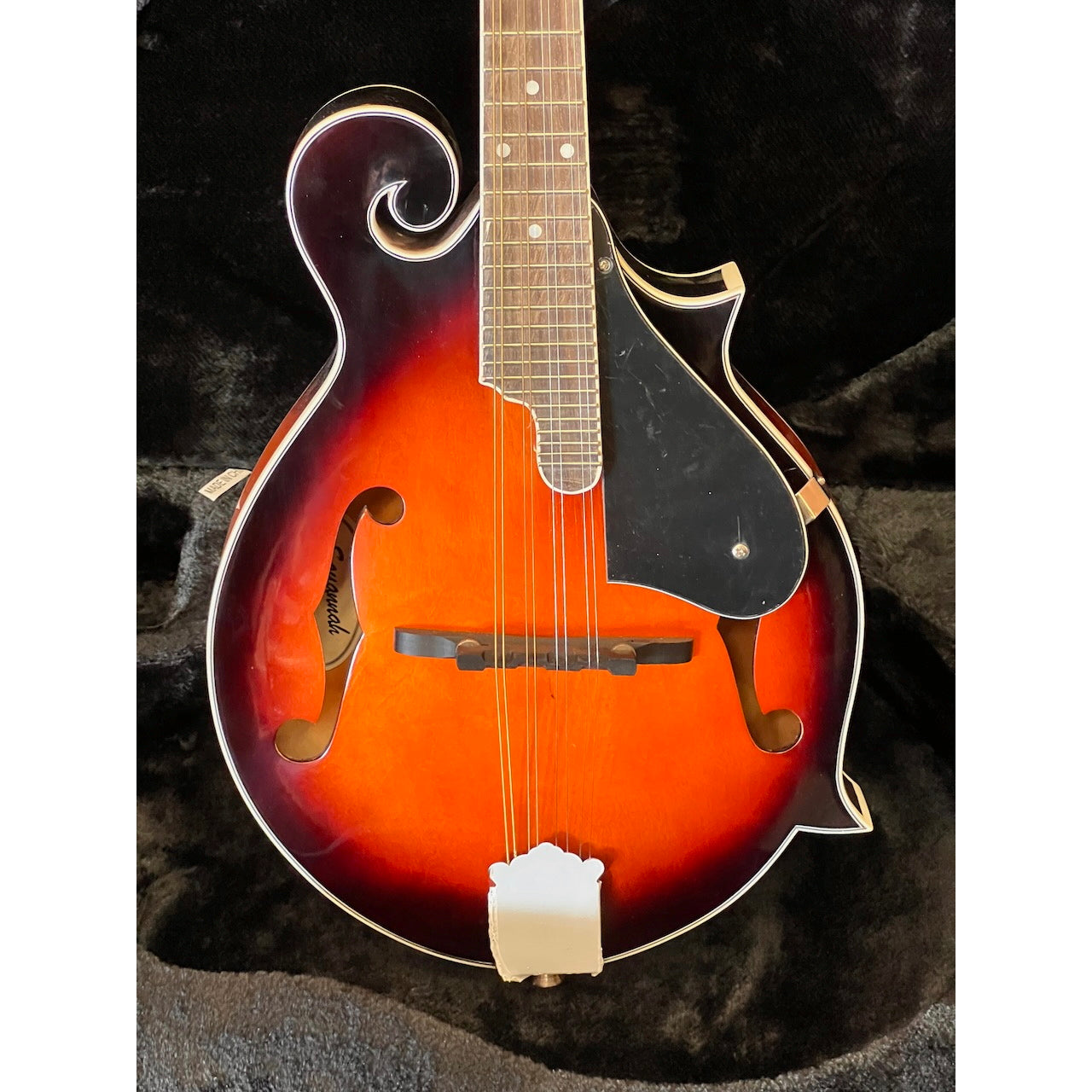 Savannah F-Model Mandolin w/case