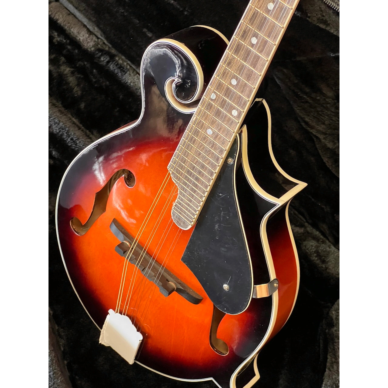 Savannah F-Model Mandolin w/case