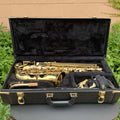 Selmer AS110 Alto Saxophone Excellent