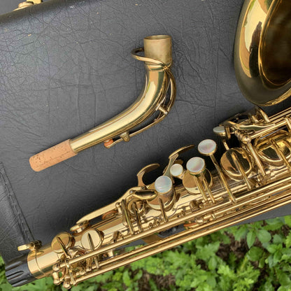 Selmer AS110 Alto Saxophone Excellent