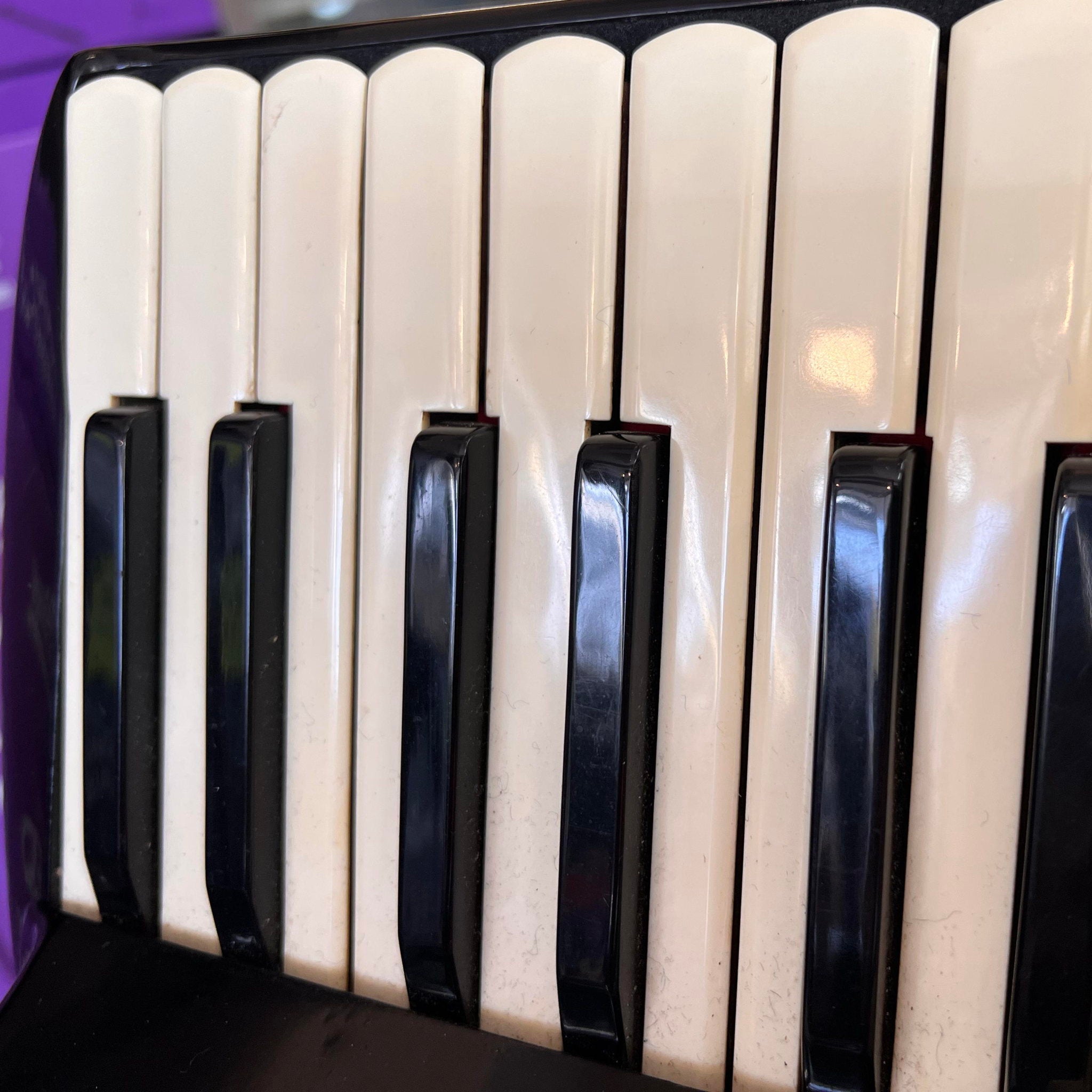 Sonola 120 Bass Piano Accordion AA7 LMMH w/case Italy 1950s Black (used)