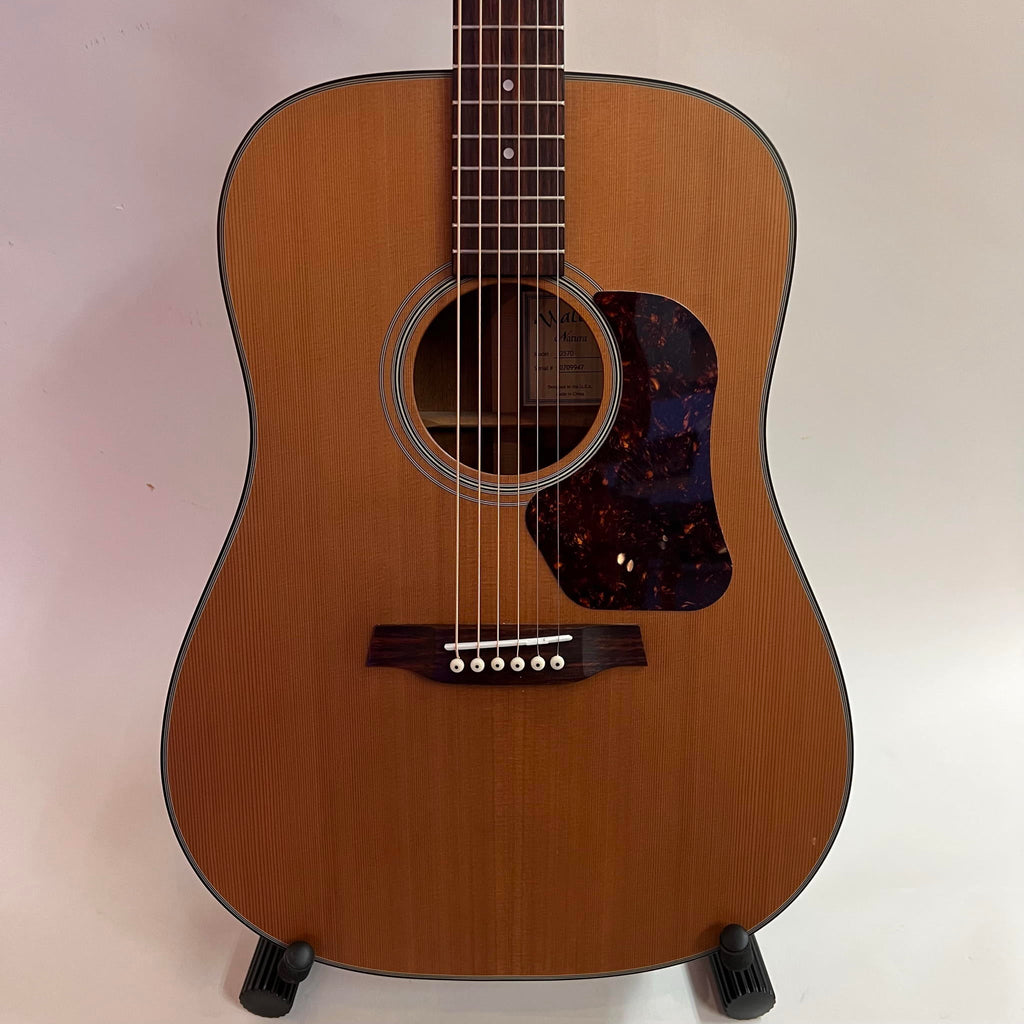 Walden D570 Acoustic Guitar (used)