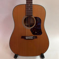 Walden D570 Acoustic Guitar (used)