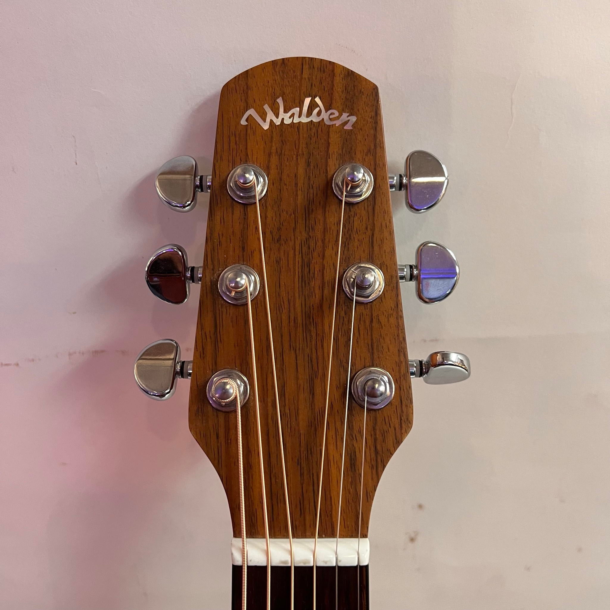 Walden D570 Acoustic Guitar (used)