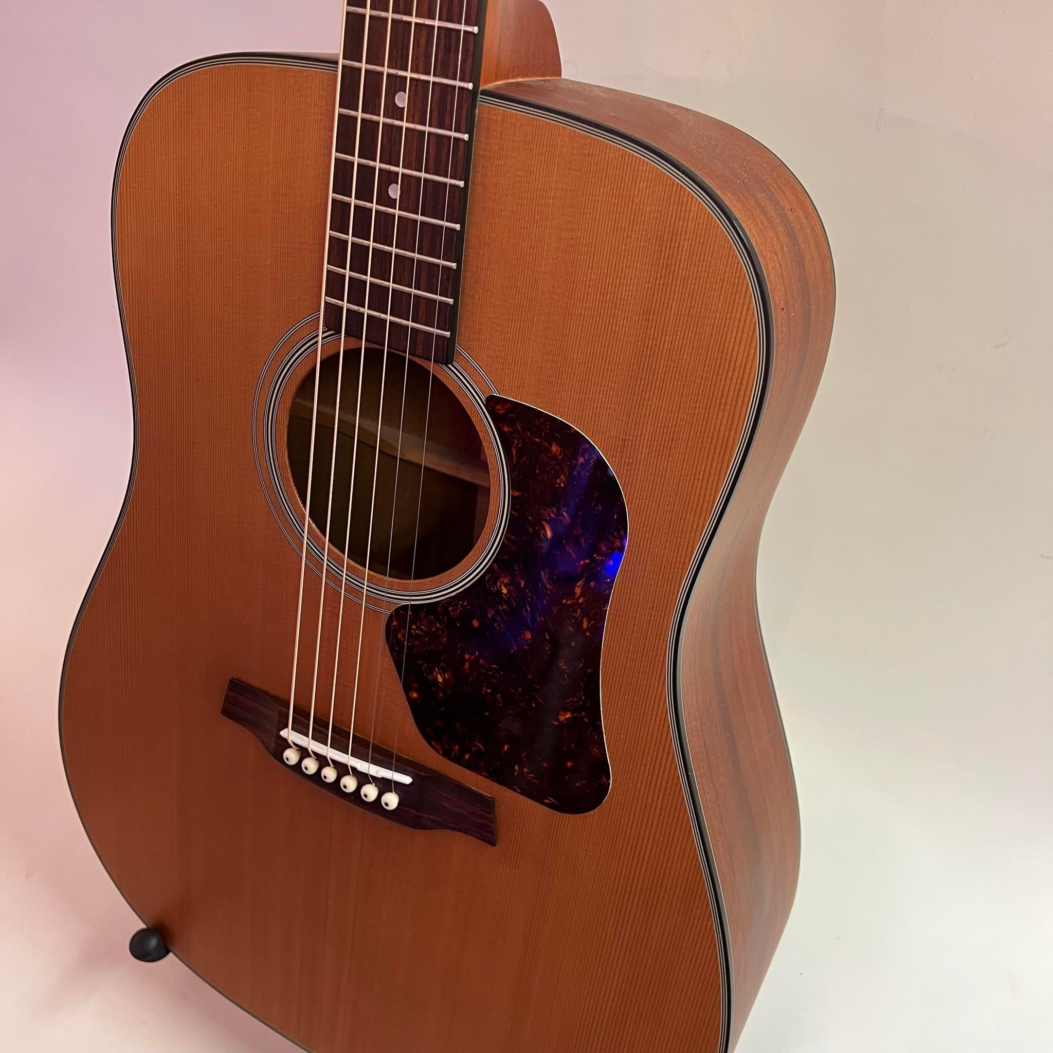 Walden D570 Acoustic Guitar (used)