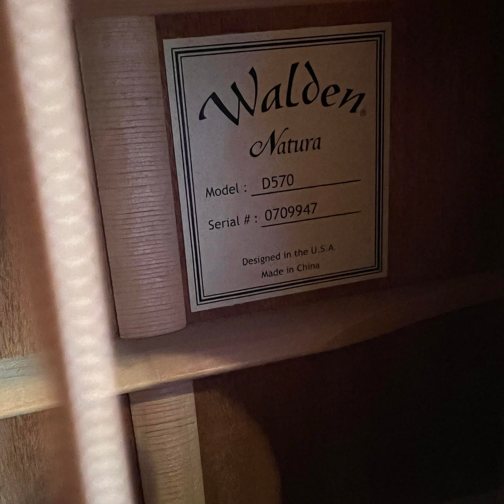 Walden D570 Acoustic Guitar (used)