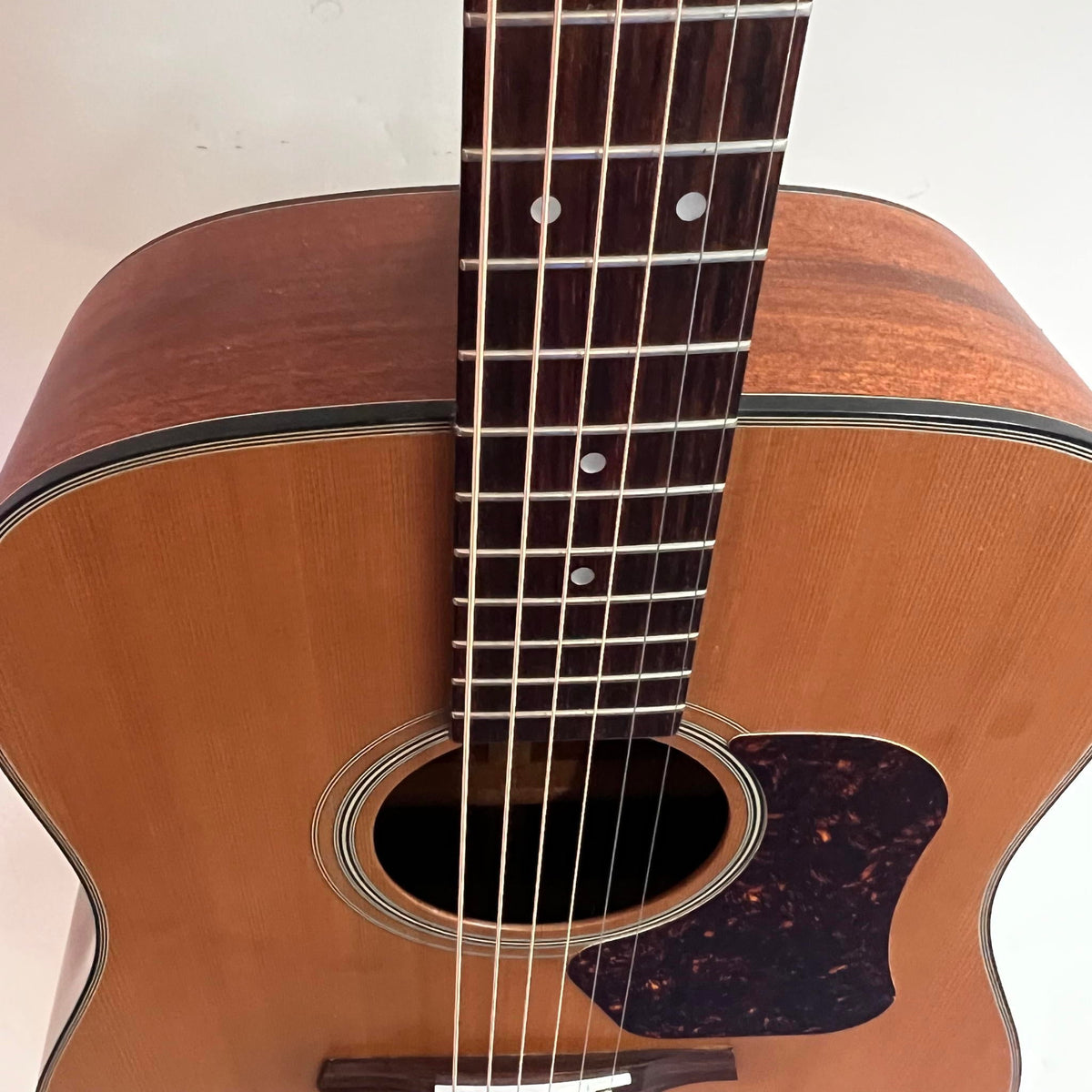 Walden D570 Acoustic Guitar (used)