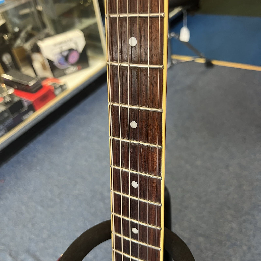 Jay Turser 335 Style Electric Guitar