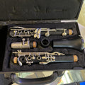 Leblanc Backun Bliss Step-up Clarinet