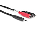 Hosa Stereo Breakout, 3.5 Mm TRS To Dual RCA, 6 Ft
