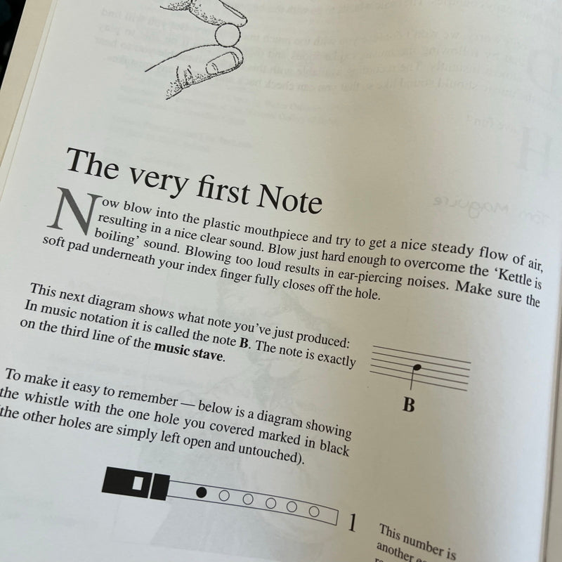An Irish Tin Whistle Book by Tom Maguire